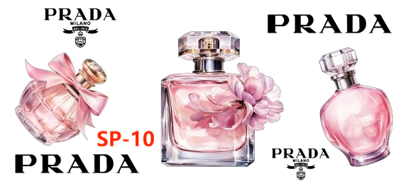 【16Ozn】PR系/随時に更新/ステッカー/カップラップ/Diyシール/240*110mm/PR系列杯贴