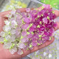[NY12] Green Flower / Bulk Orders Available / Luminous + UV / Color Changes with UV Light / Wide Variety / DIY / Nail Art / Decorative Parts 