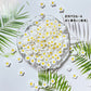 [NY06] Baked Flowers / Luminous / Small Flowers / Choose from 3 Colors // Smartphone / DIY / Nail Parts / Deco Parts / Cute Parts / Multicolor 